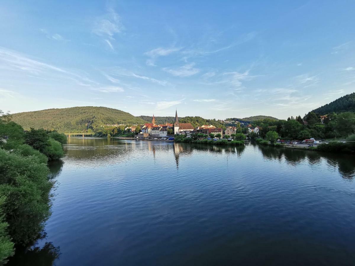 Ferienwohnungen Flussufer - Neckargemünd Altstadt Exterior foto